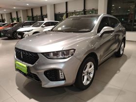 魏牌 VV5 2019款 1.5T 两驱颜先锋