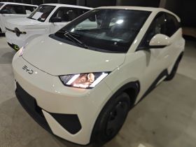 比亚迪 海鸥 2025款 305km 活力版