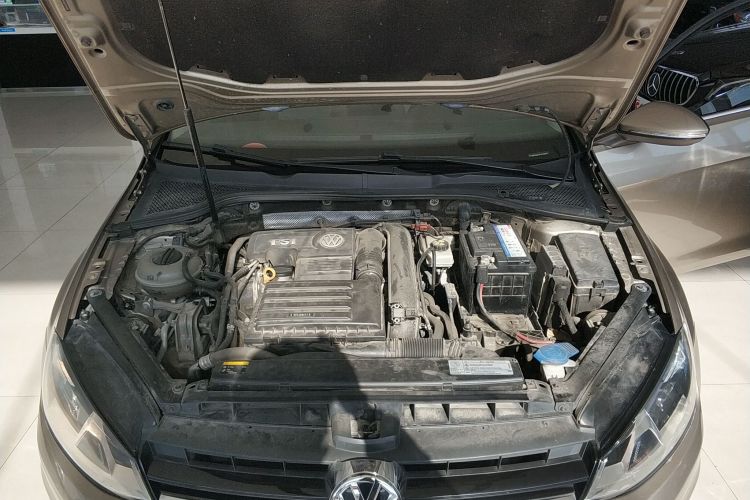 大众 高尔夫 2016款 230TSI 自动舒适型机舱底盘24