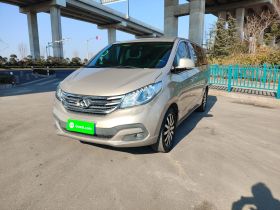 上汽大通MAXUS 大通G10 2014款 2.0T 自动豪华行政版