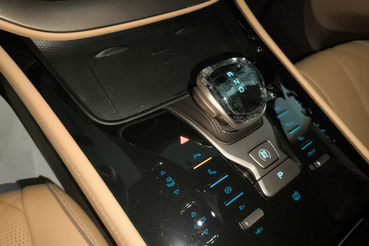 腾势D9 2022款 DM-i 1040 尊贵型局部细节18