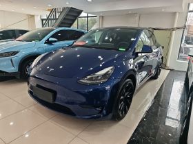 特斯拉 Model Y 2022款 改款 后轮驱动版