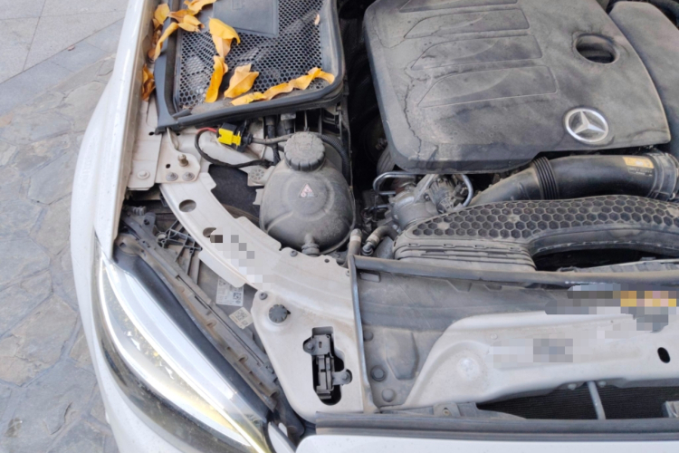 奔驰C级 2020款 C 200 L 时尚型运动版局部细节9006