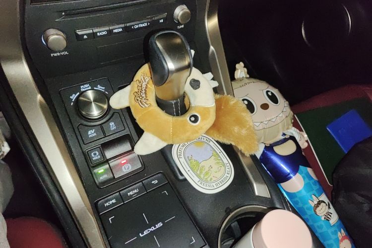 雷克萨斯NX 2020款 300h 前驱 锋尚版 国VI中控内饰18