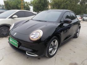 欧拉好猫 2021款 400km标准续航 维纳斯版 磷酸铁锂