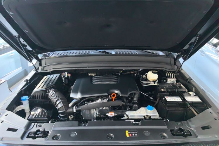 坦克300 2021款 越野版 2.0T 挑战者机舱底盘24