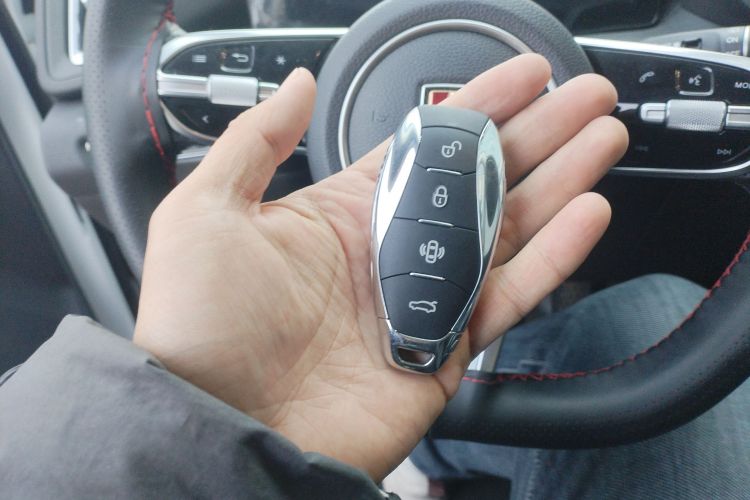 红旗HS3 PHEV 2024款 PHEV 115km 劲为版中控内饰11