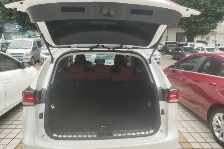 雷克萨斯NX 2018款 200 前驱 锋行版 国VI局部细节23