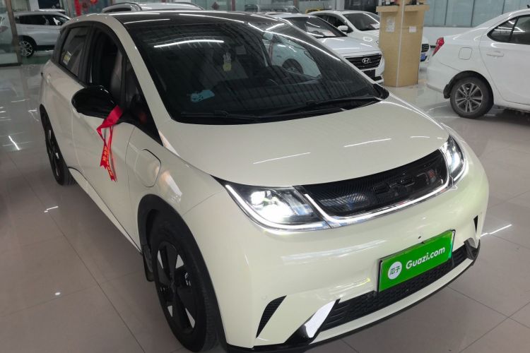 比亚迪 海豚 2023款 420km 时尚版车身外观3