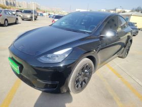 特斯拉 Model Y 2022款 改款 长续航全轮驱动版