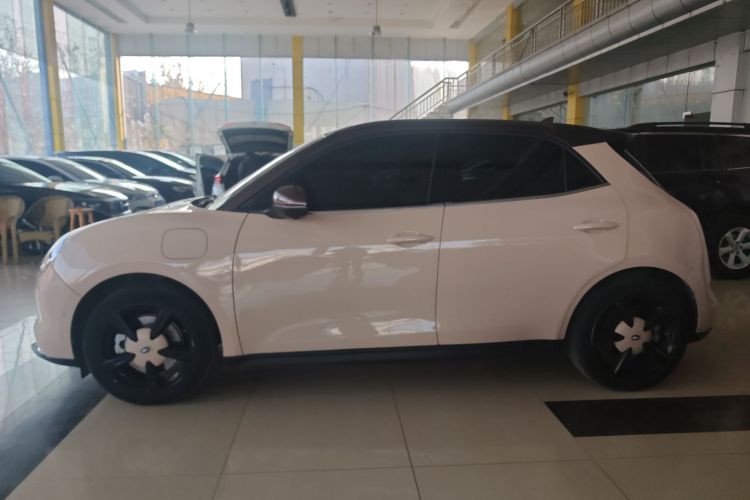 欧拉好猫 2022款 500km长续航 豪华型 三元锂车身外观4