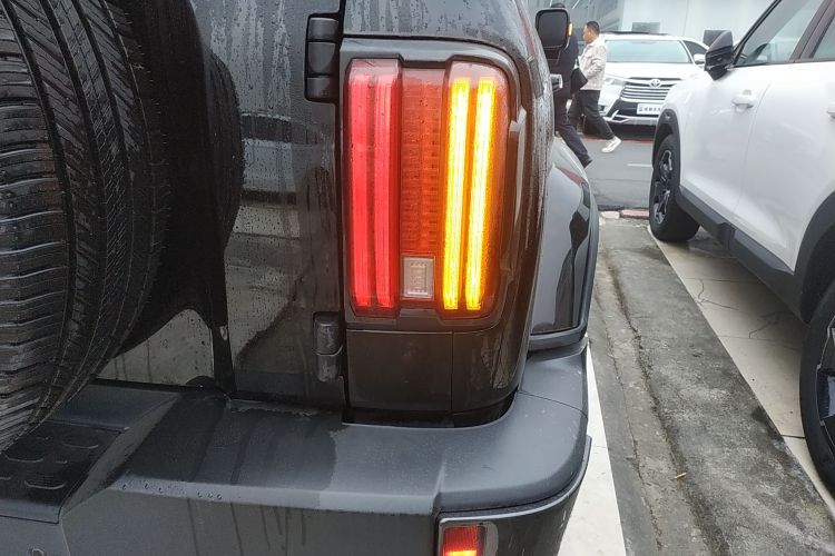 坦克300 2021款 城市版 2.0T 很有型车身外观6006