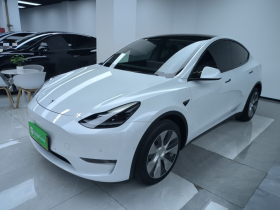 特斯拉 Model Y 2021款 长续航全轮驱动版