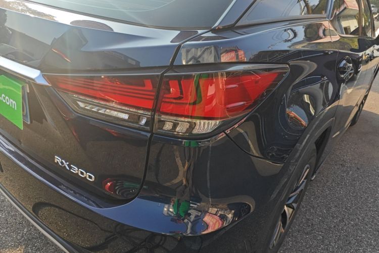 雷克萨斯RX 2020款 300 两驱精英版 国VI车身外观9