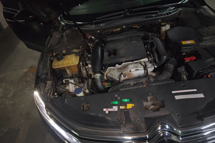 雪铁龙C6 2017款 380THP 旗舰型局部细节9006