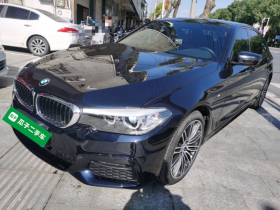 宝马5系 2019款 530Li 领先型 M运动套装