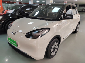 五菱汽车 五菱缤果 2023款 333km 灵犀互联+款