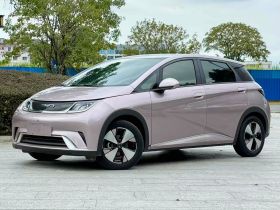 比亚迪 海豚 2023款 420km 时尚版