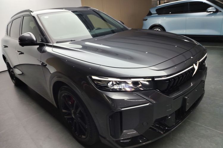 岚图汽车 岚图FREE 2025款 318 318km 后驱环游版车身外观6002