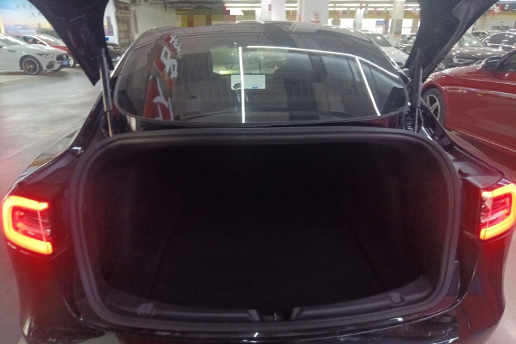 特斯拉 Model 3(进口) 2019款 长续航全轮驱动版局部细节23