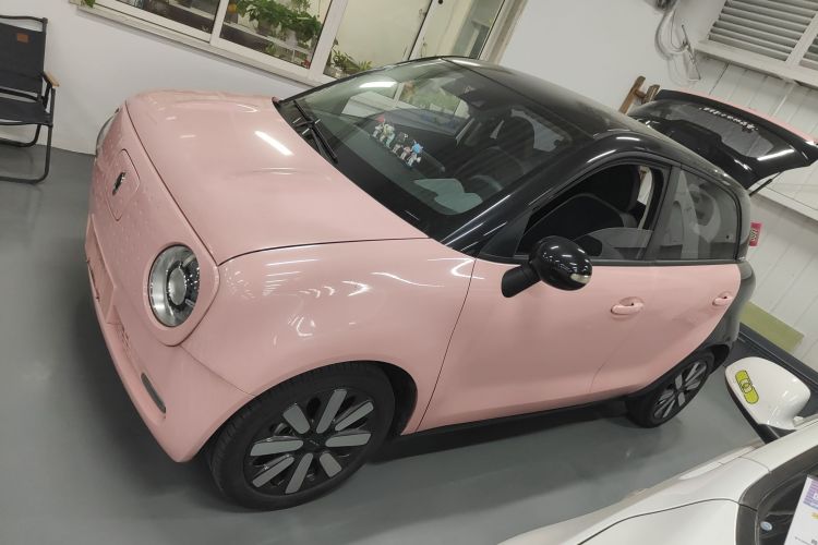 欧拉黑猫 2019款 351km 亲子版车身外观4