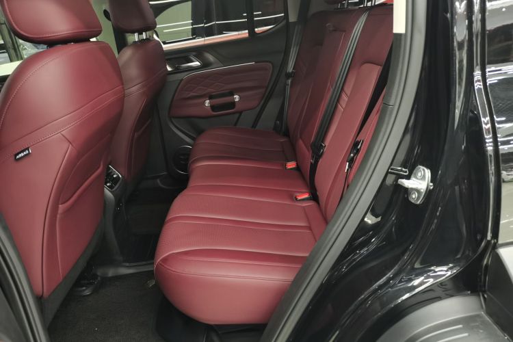 坦克300 2024款 2.0T 征服者中控内饰21