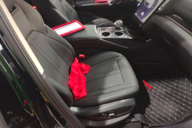 红旗HS3 PHEV 2024款 PHEV 115km 劲为版局部细节41