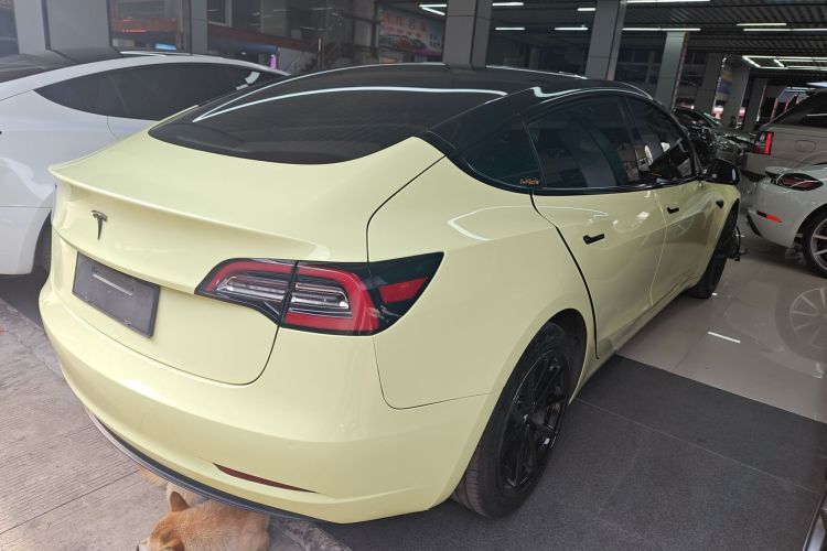 特斯拉 Model 3 2019款 标准续航后驱升级版车身外观6005