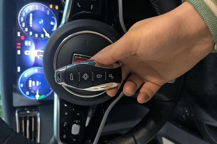 红旗HS7 PHEV 2024款 2.0T PHEV 四驱旗畅版 6座中控内饰11