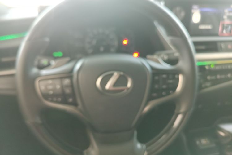 雷克萨斯ES 2018款 200 豪华版 国V中控内饰13