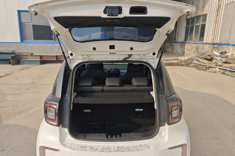 思皓 2022款 花仙子款 四叶草局部细节23