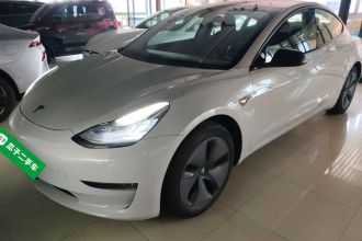 特斯拉 Model 3(进口) 2019款 长续航后驱版