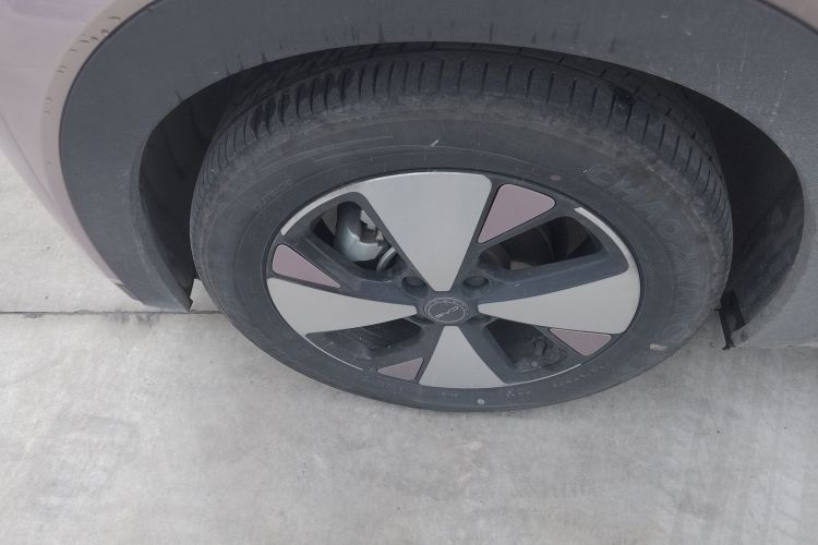 比亚迪 海豚 2023款 420km 时尚版车身外观6007