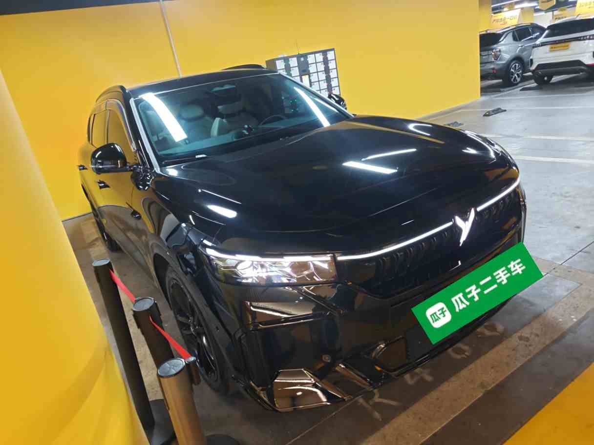 岚图汽车 岚图FREE 2025款 318 259km 四驱探索版(5)