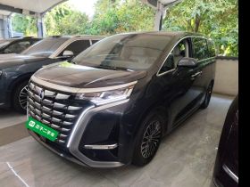 腾势D9 2022款 DM-i 970 四驱旗舰型