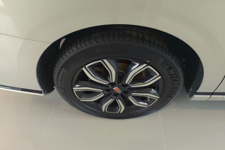 红旗HQ9 2023款 2.0T 智联旗享版车身外观6008