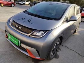 比亚迪 海豚 2021款 405km 时尚版