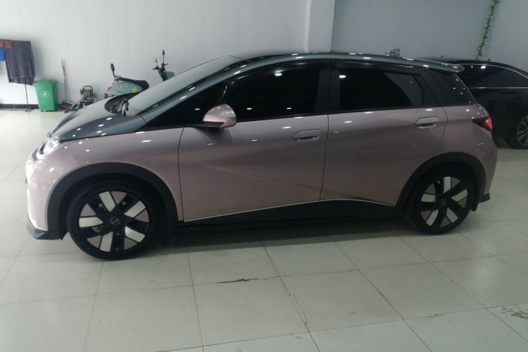 比亚迪 海豚 2023款 401km 骑士版车身外观6003