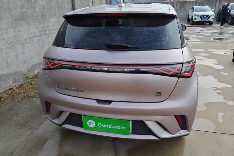 比亚迪 海豚 2023款 420km 自由版车身外观6