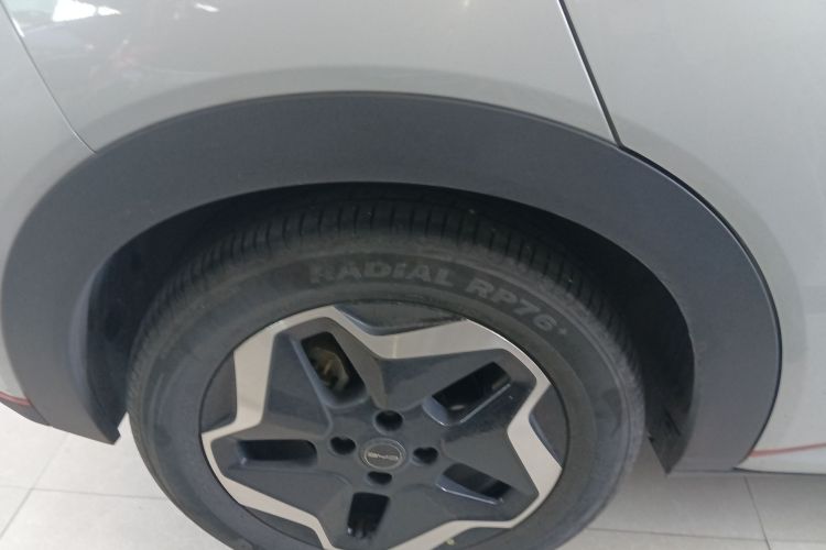 比亚迪 海豚 2021款 405km 自由版车身外观6008