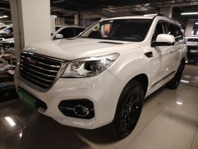 哈弗H9 2017款 2.0T 柴油四驱尊享型 5座