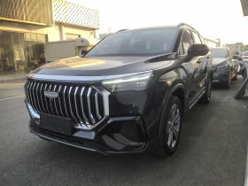 吉利汽车 豪越L 2024款 2.0T DCT尊贵型