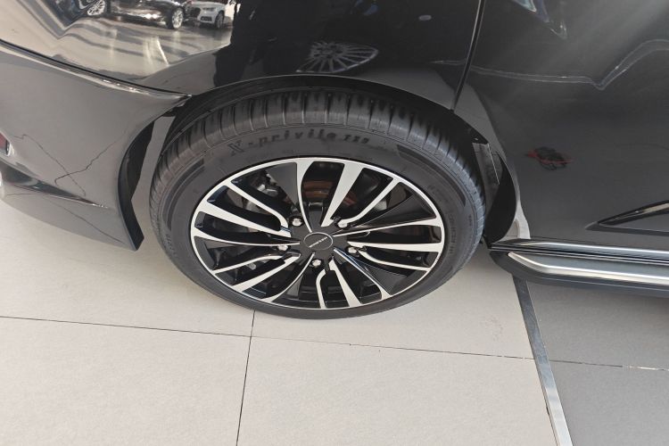 钧天 沃森威尔福特黑武士 2025款 2.0T 汽油巅峰版车身外观6007