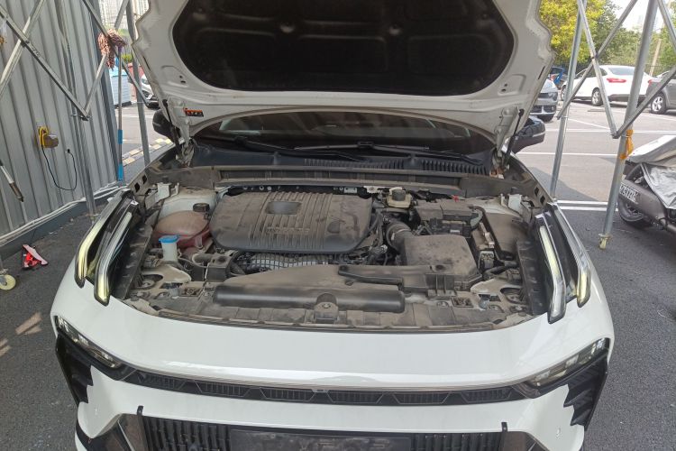 领克03 2023款 2.0TD DCT劲Pro局部细节24