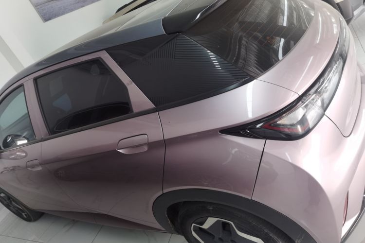 比亚迪 海豚 2021款 405km 时尚版车身外观6003