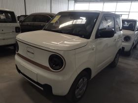 吉利银河 2024款 熊猫mini 200km 耐力熊