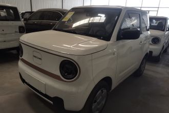 吉利银河 2024款 熊猫mini 200km 耐力熊