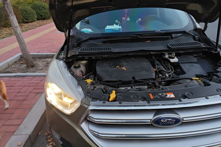 福特 翼虎 2017款 EcoBoost 180 四驱豪翼型局部细节9006