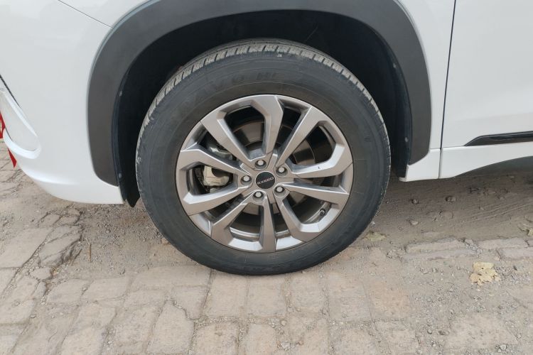 星途追风 2020款 乘风破浪版 1.5T CVT星睿版车身外观6007