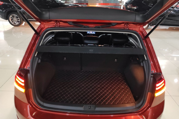 大众 高尔夫 2019款 1.6L 自动时尚型 国V局部细节23